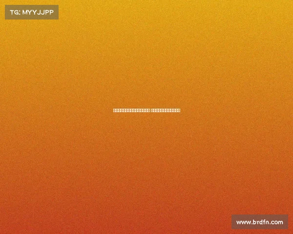 乌迪内斯与维特塞尔展开深度谈判 持续接触或迎来新转会动态